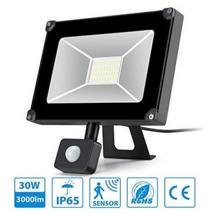 Oeegoo Faretto Esterno 30W Faro LED con Sensore di Movimento